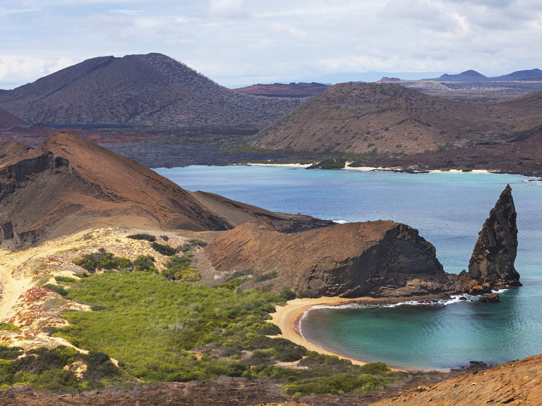 Galapagos Wedding