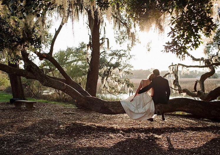 Tara Keely Bridal Dress