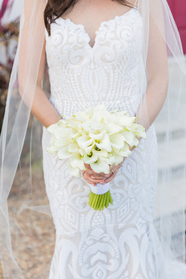 Blush by Hayley Paige West Gown 