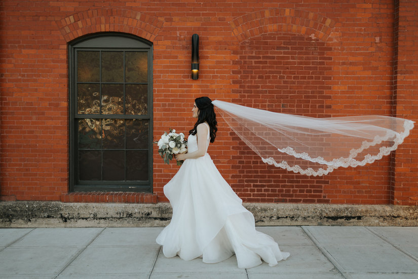 Hayley Paige Decklyn Solid Ivory Organza 