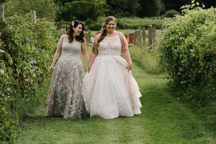 vineyard wedding