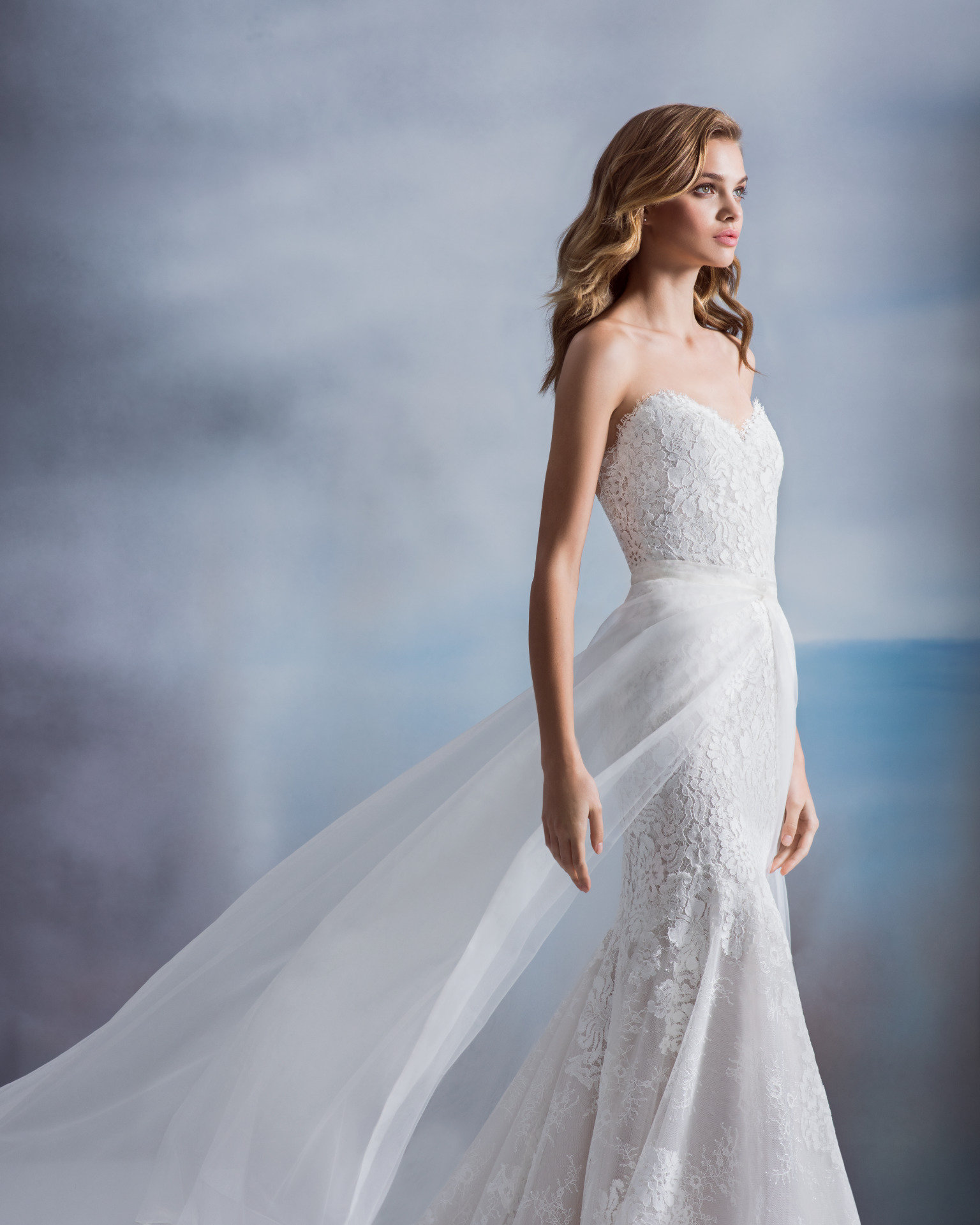 allison webb bridal dresses