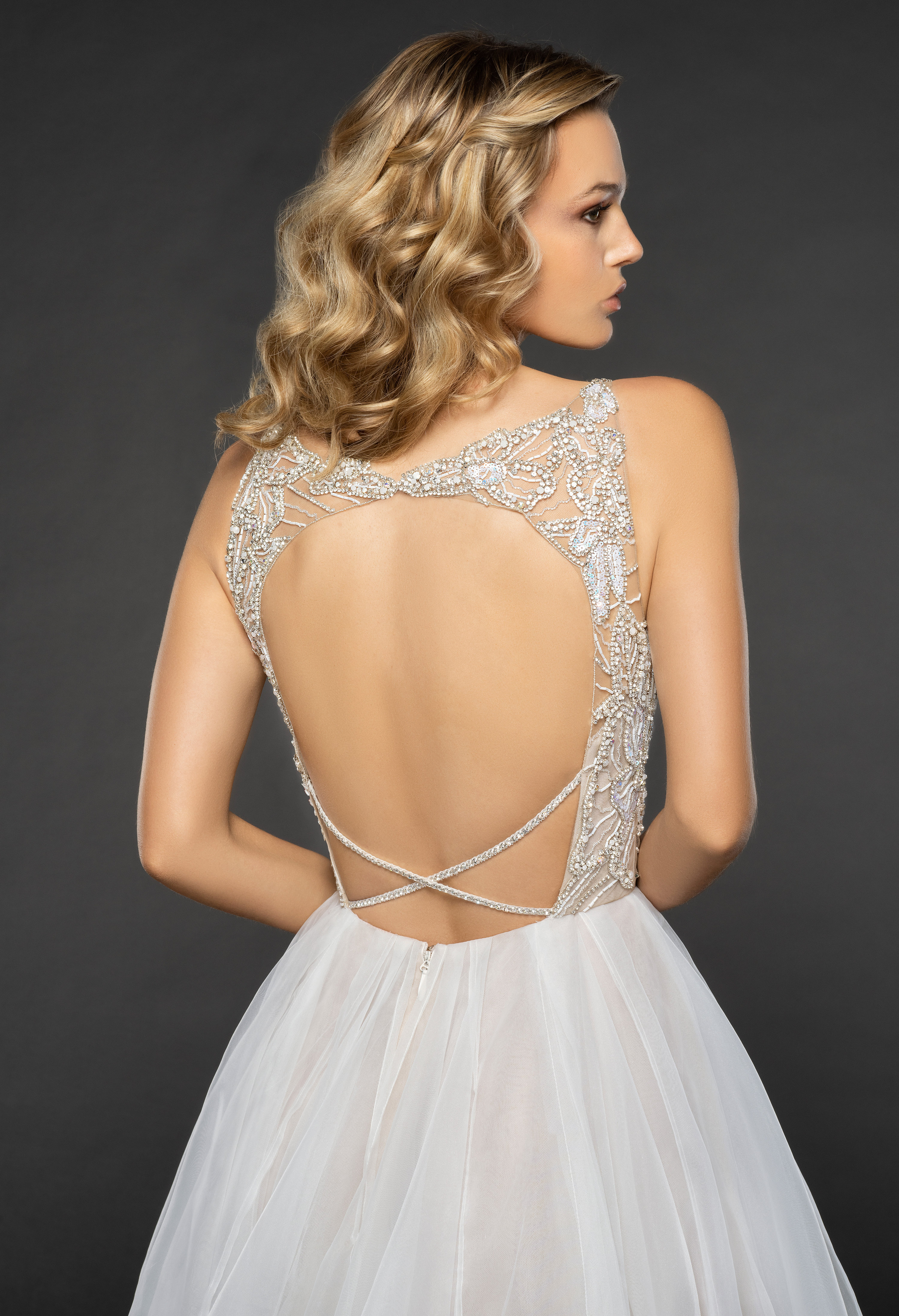 hayley paige max gown