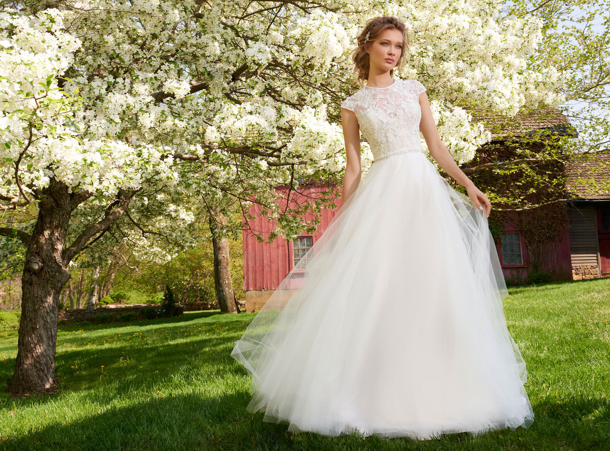Bridal Gowns And Wedding Dresses By Jlm Couture Style 2552 Tara Keely By Lazaro Style 2552 Bridal Gown