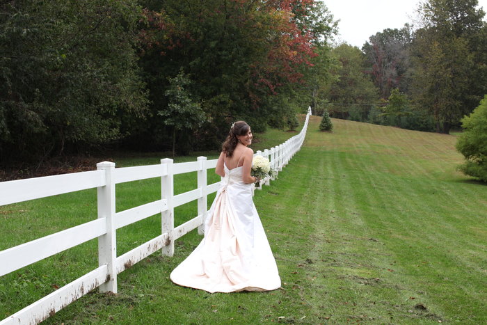 Back of Bride's Gown