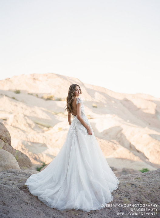 Hayley Paige Style 6951 Brando Bridal Gown