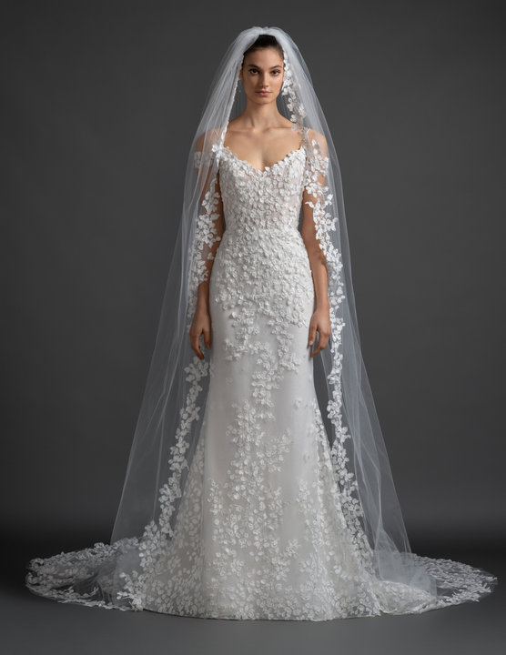 Bridal Gowns and Wedding Dresses by JLM Couture - Style Olivia Veil 3914_VL